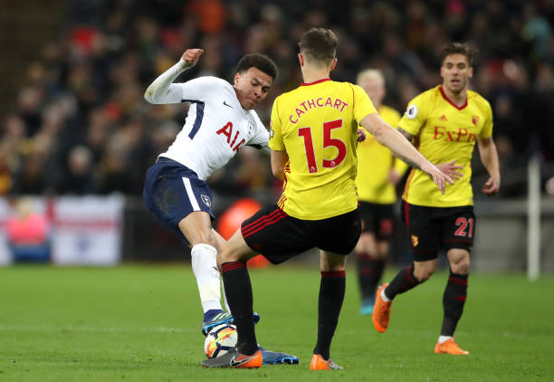 他们对球队 他们对球队