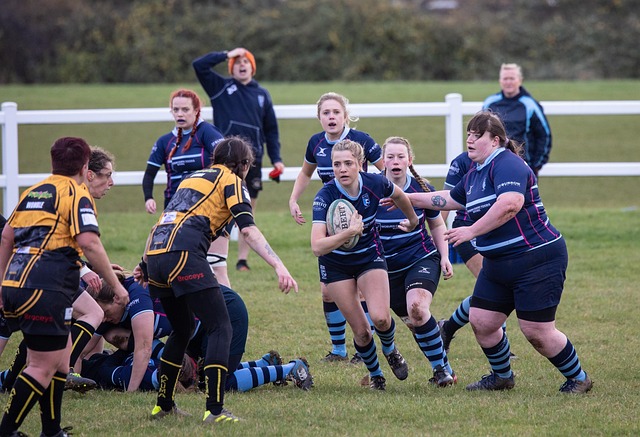 看看巴塞羅 看看巴塞羅